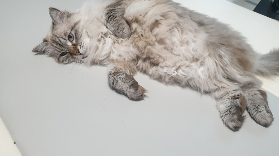 img/25/05/11/196babd24f85079de.jpg