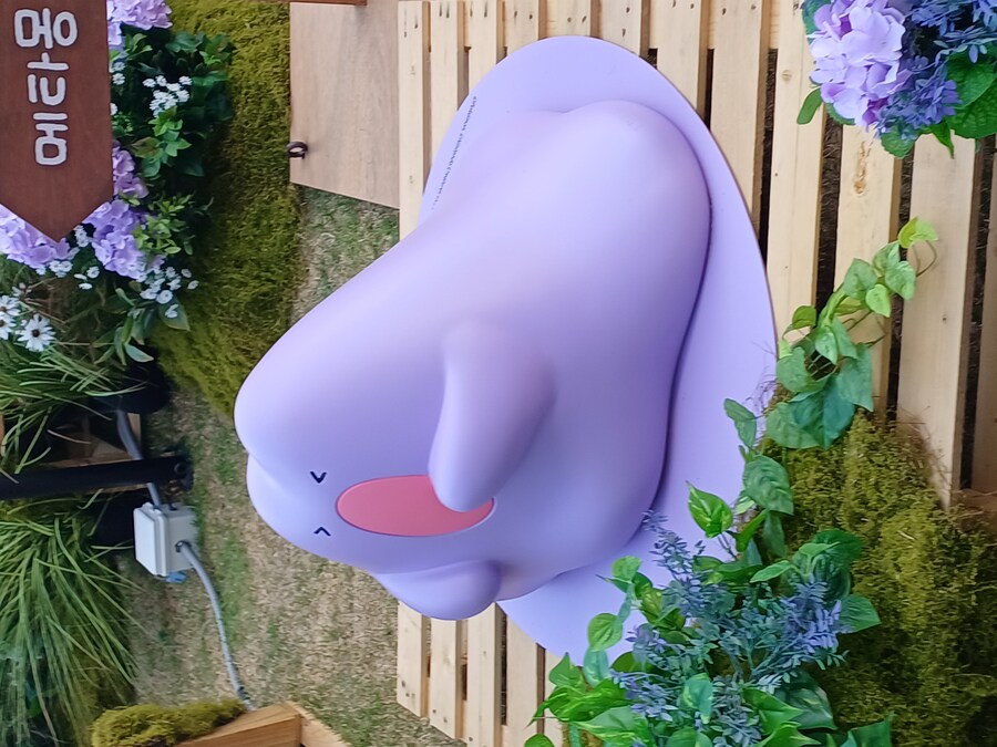 img/25/05/11/196bb5d860b487d70.jpg