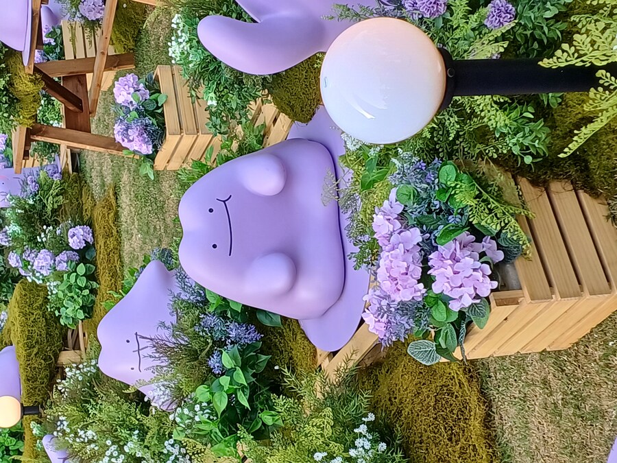 img/25/05/11/196bb5e0e61487d70.jpg