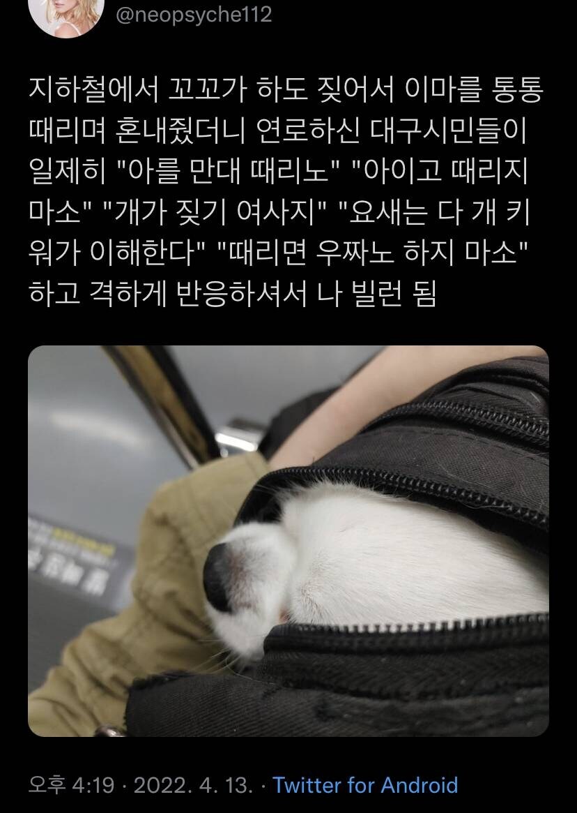 img/25/05/11/196bc57d2684d086e.png