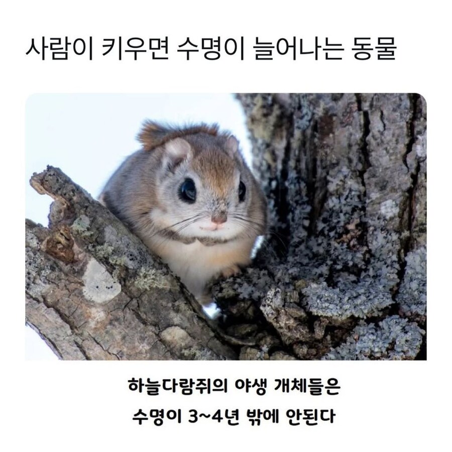 img/25/05/11/196bcce33c1140718.jpg