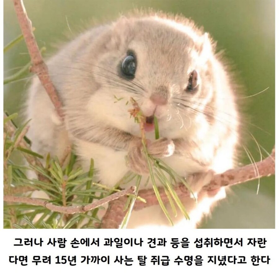 img/25/05/11/196bcce3789140718.jpg