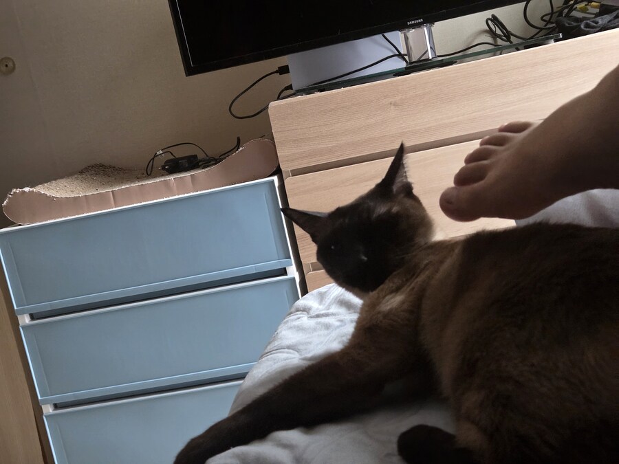 img/25/05/11/196bd076520aba8c.jpg