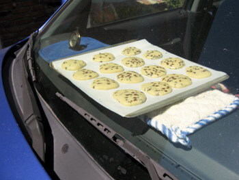 img/25/05/11/196bf1f814459a333.jpg