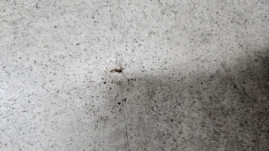img/25/05/11/196bf3fcf36414e3e.jpg