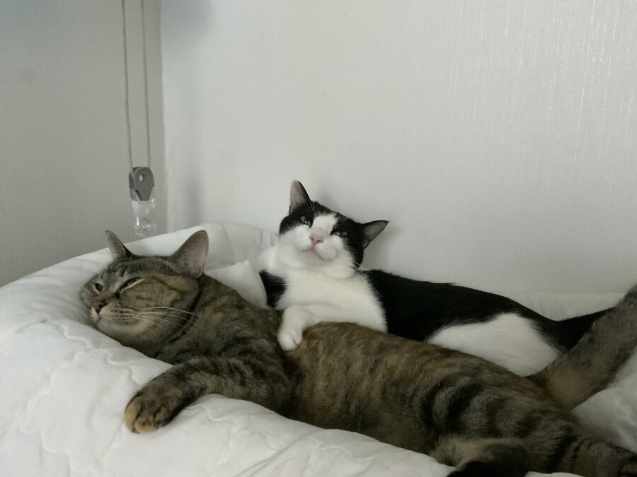 img/25/05/12/196c02d3f054aac04.jpg
