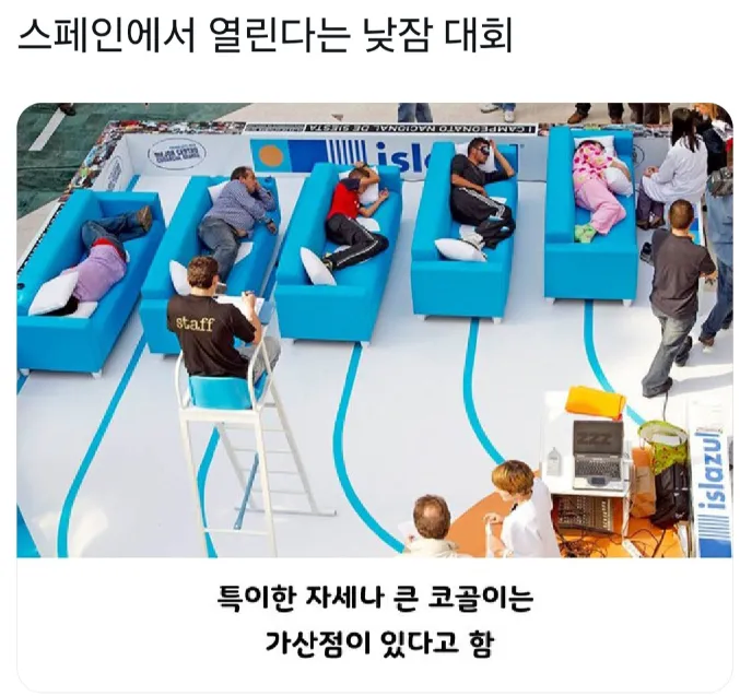 img/25/05/12/196c1e7ff342d6bd5.webp
