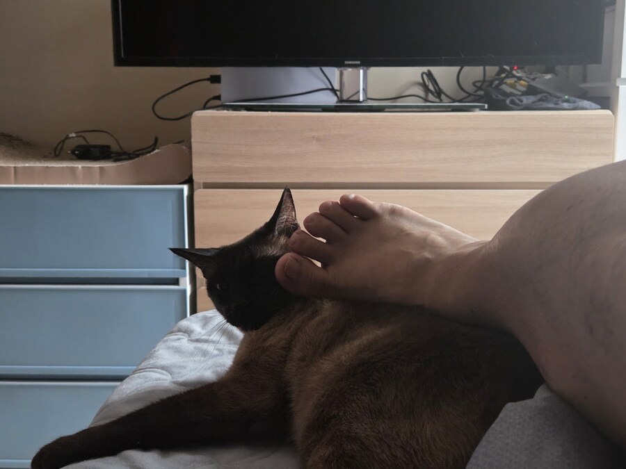img/25/05/12/196c21b019baba8c.jpg