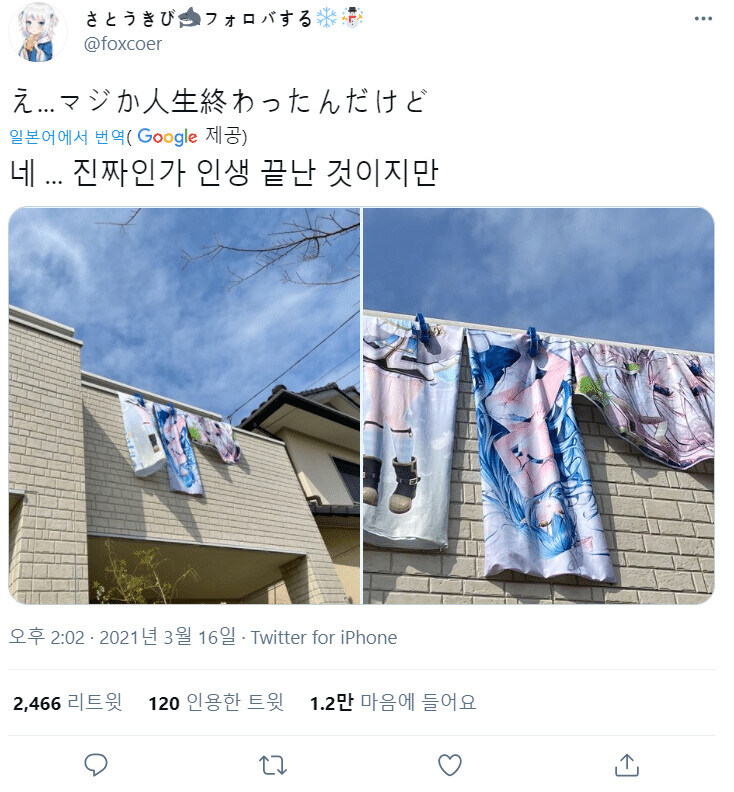 img/25/05/12/196c29962555557c6.jpg