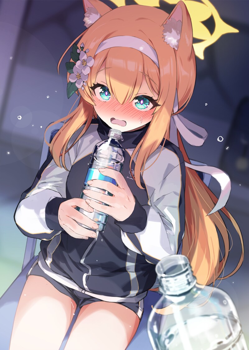 img/25/05/12/196c2e945ec59b3df.png