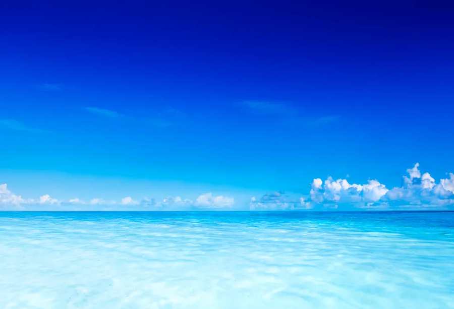 img/25/05/12/196c2f41dd159849a.webp