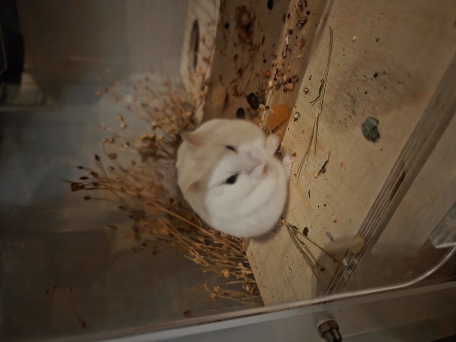 img/25/05/12/196c361c788599e80.jpg