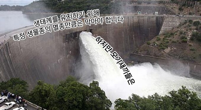 img/25/05/12/196c475e23993343.png
