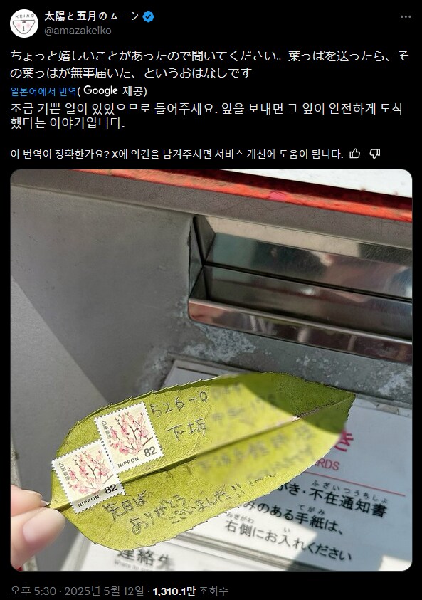 감성이 충만해지는 일본의 나뭇잎 편지.jpg_1.png
