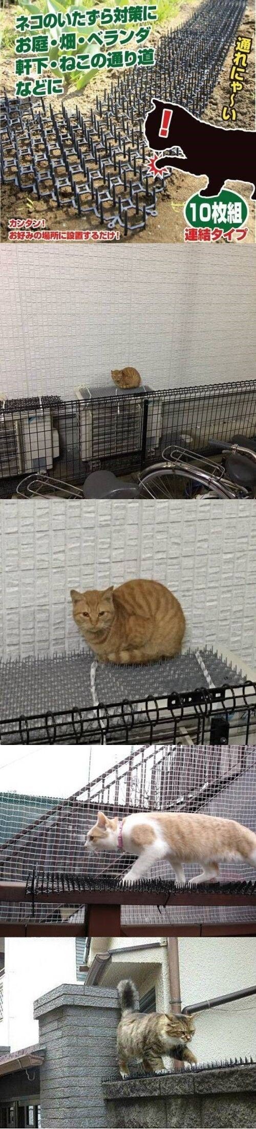 고양이 방지용 함정_1.jpg