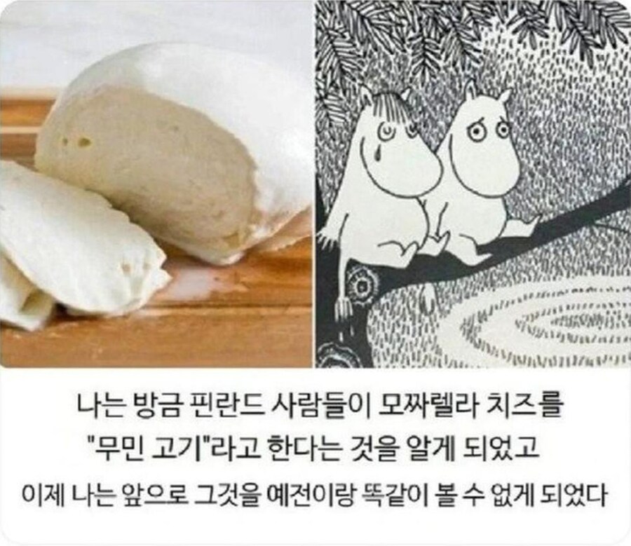 핀란드에서 모짜렐라 치즈에 붙인 별명.jpg_1.jpg