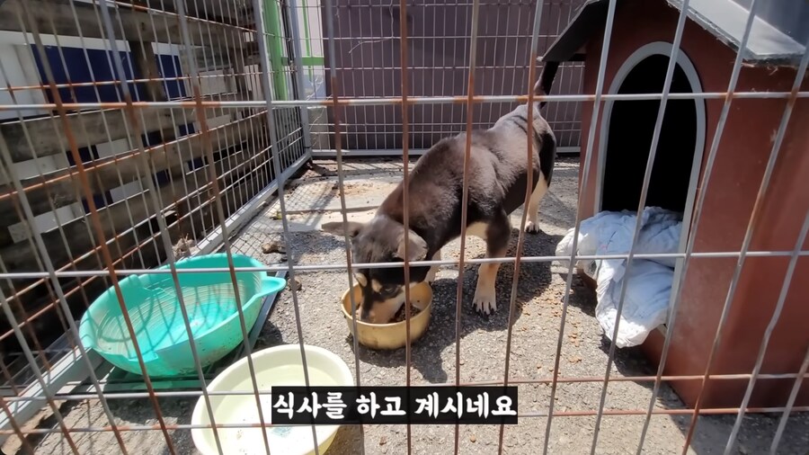 중소기업 경비견의 필수 조건_11.png