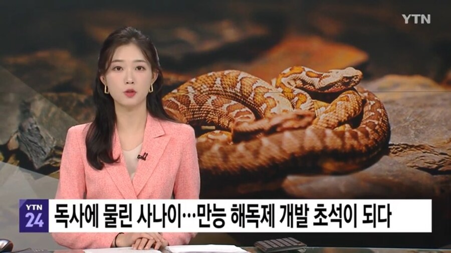 뭔가 무협지스러운 어느 귀인의 노력_1.jpg