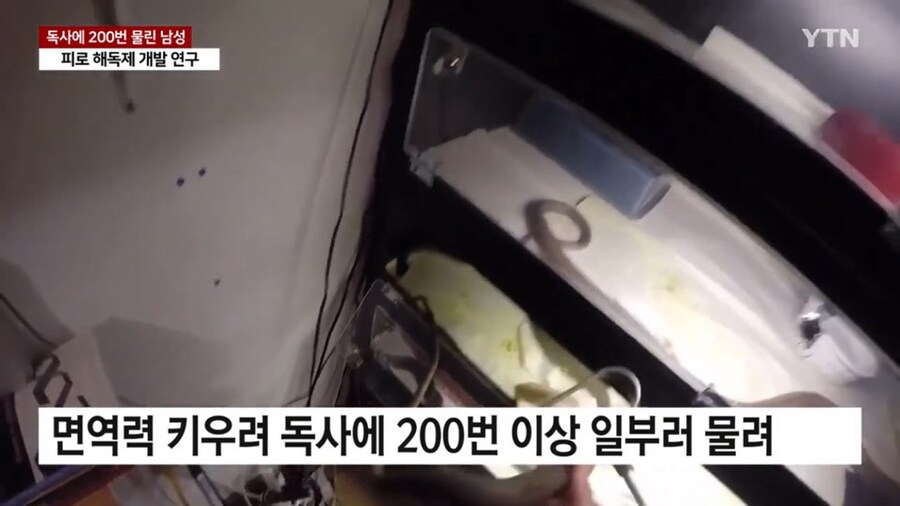 뭔가 무협지스러운 어느 귀인의 노력_3.jpg