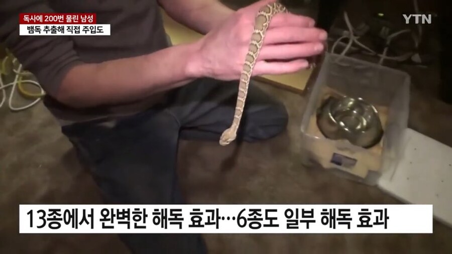 뭔가 무협지스러운 어느 귀인의 노력_7.jpg