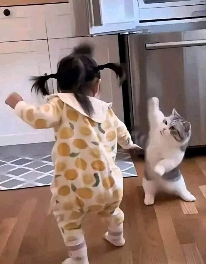 아기 vs 고양이_1.jpg