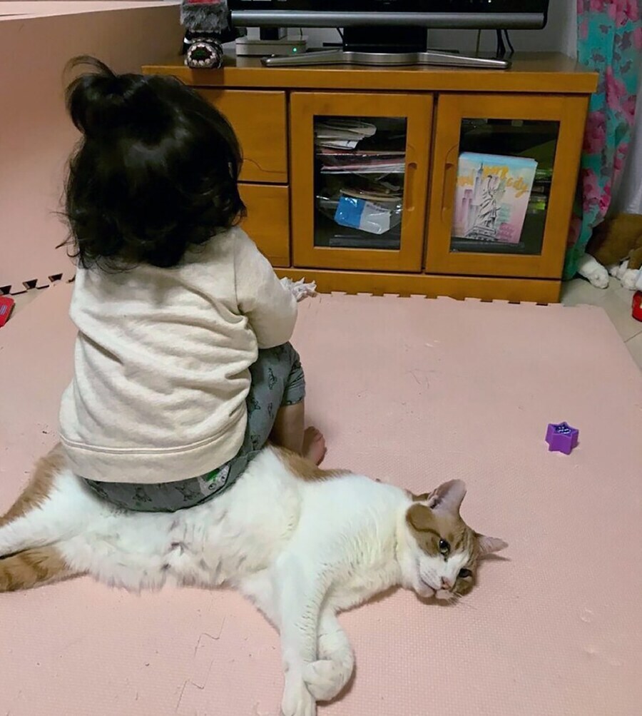 아기 vs 고양이_2.jpg