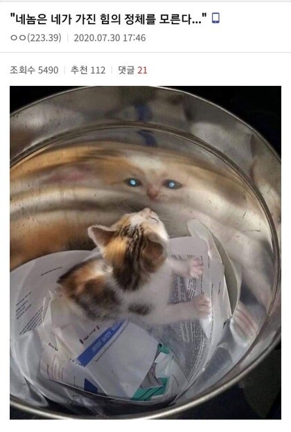 네놈은 네가 가진 힘의 정체를 모른다⋯.jpg_1.jpg