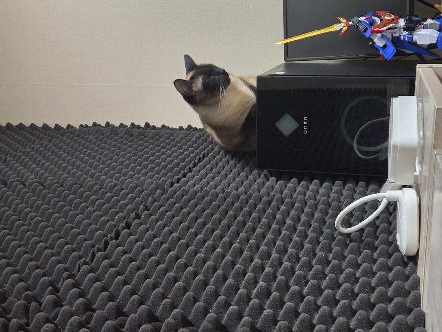 인간새끼의 사악함에 절망한 우리집 고양이_1.jpg