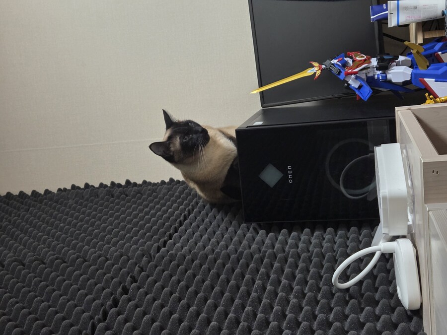 인간새끼의 사악함에 절망한 우리집 고양이_2.jpg