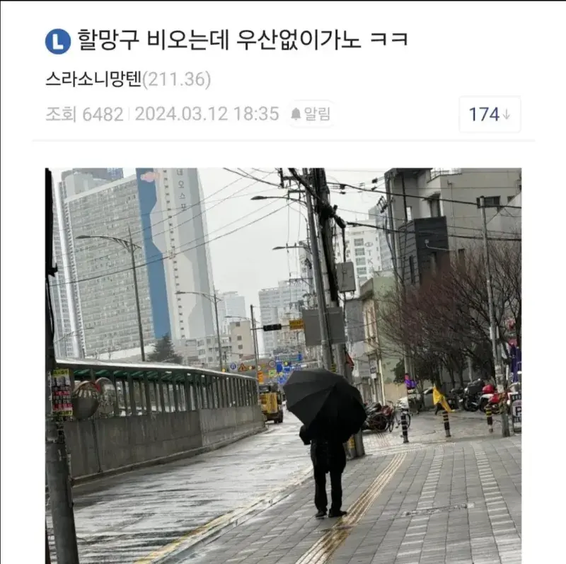 할머니한테 우산을 양보한 디시인 .jpg_1.webp