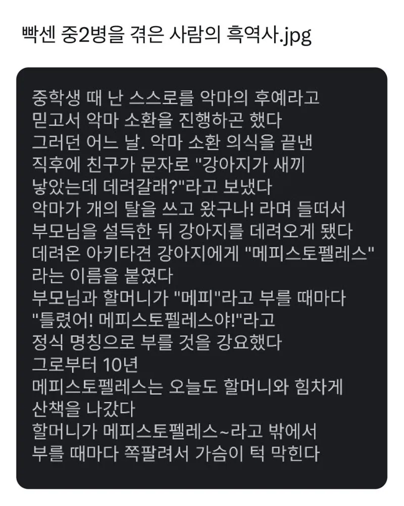빡센 중2병을 겪은 사람의 흑역사._1.webp
