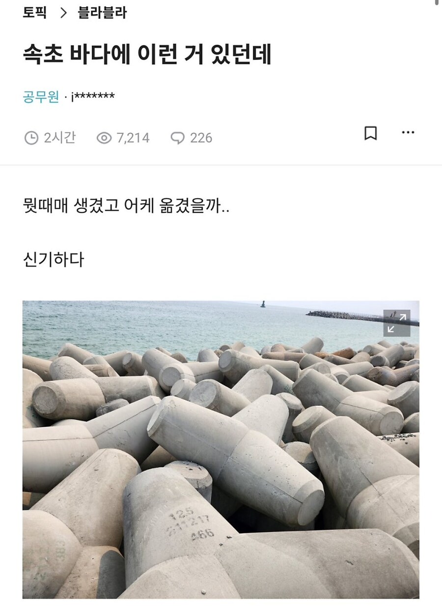 속초 바다에 이런 거 있대 신기하다._1.jpg