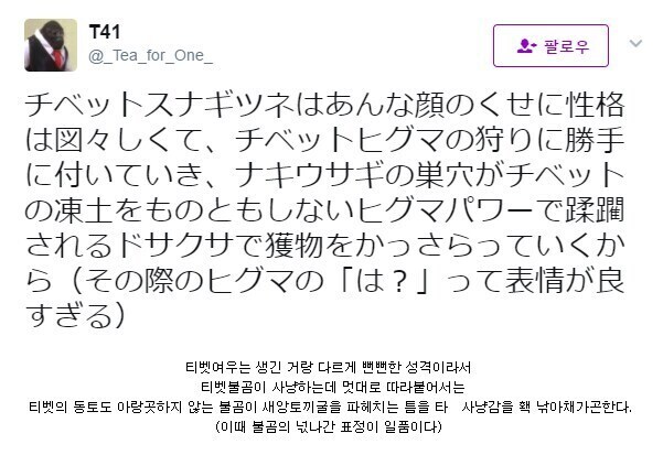 ? : 티벳여우는 아주 뻔뻔한 생물입니다._1.jpg