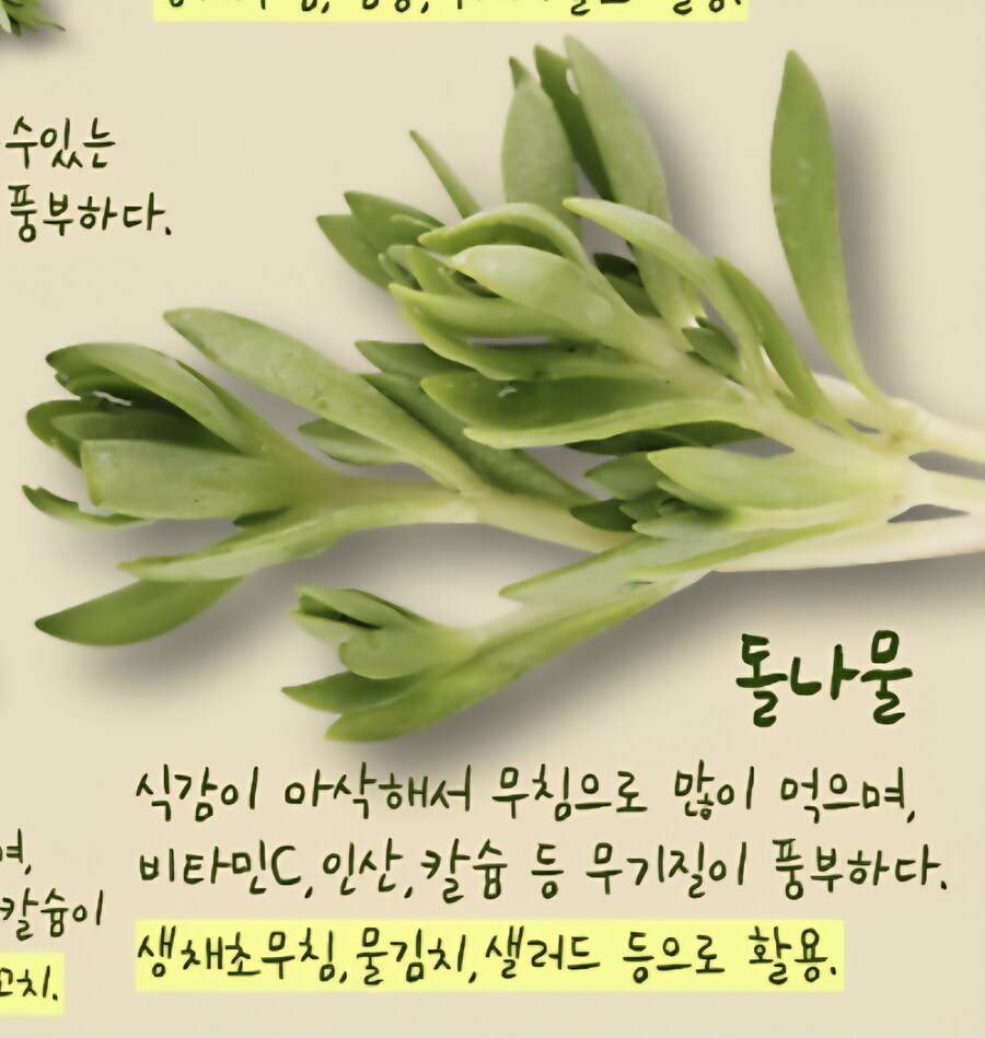 호불호 급식 메뉴류_3.jpg
