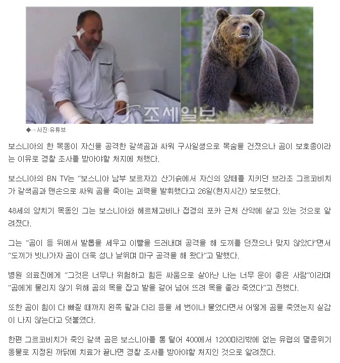 곰을 상대하는 방법.jpg_2.png