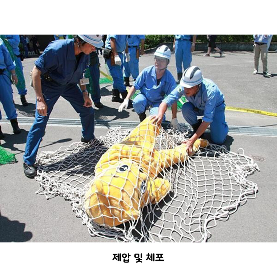 일본 동물원의 탈출 맹수 제압 훈련_3.jpg