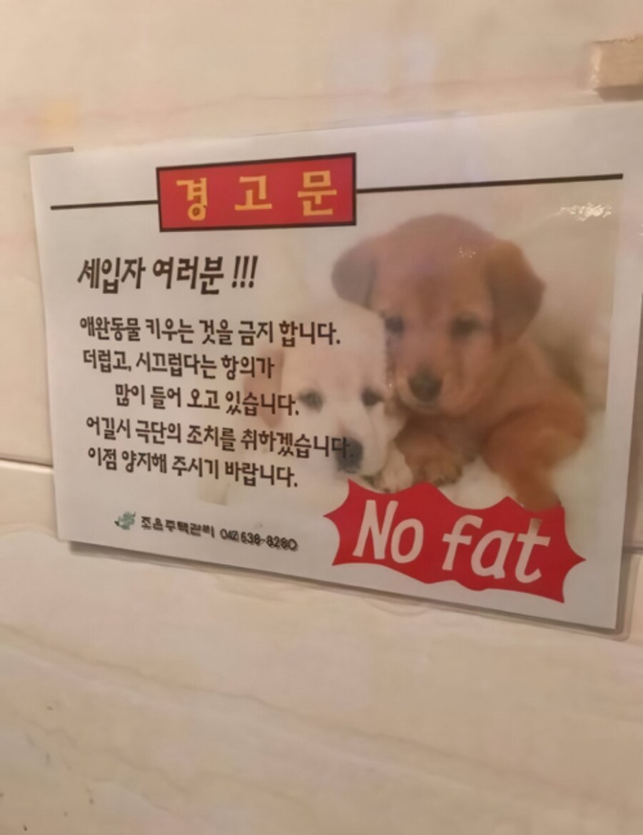갑작스러운 비만인 공격_1.jpg