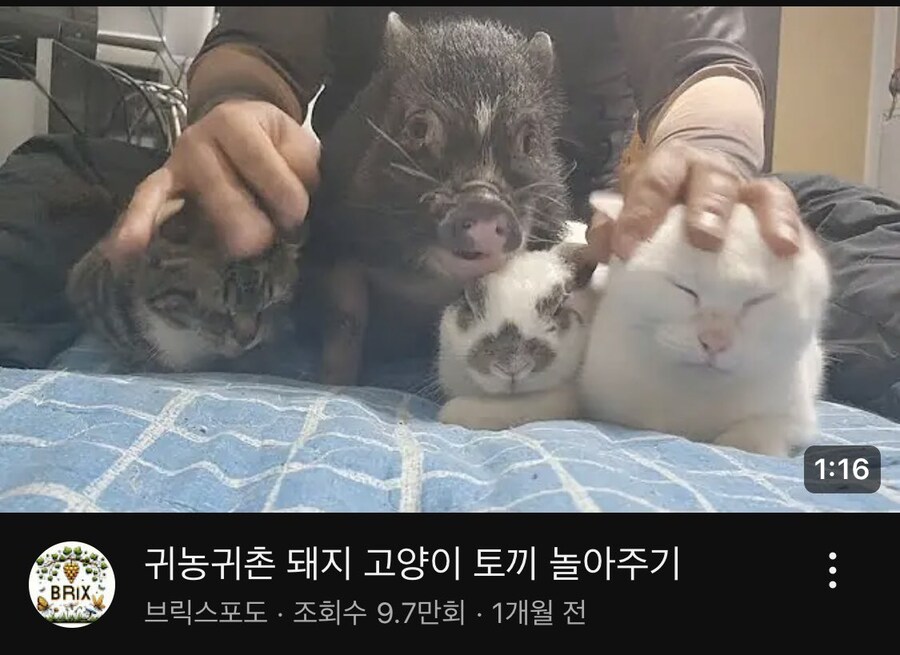 욕심 그득그득한 농촌 유튜버.jpg_1.jpg