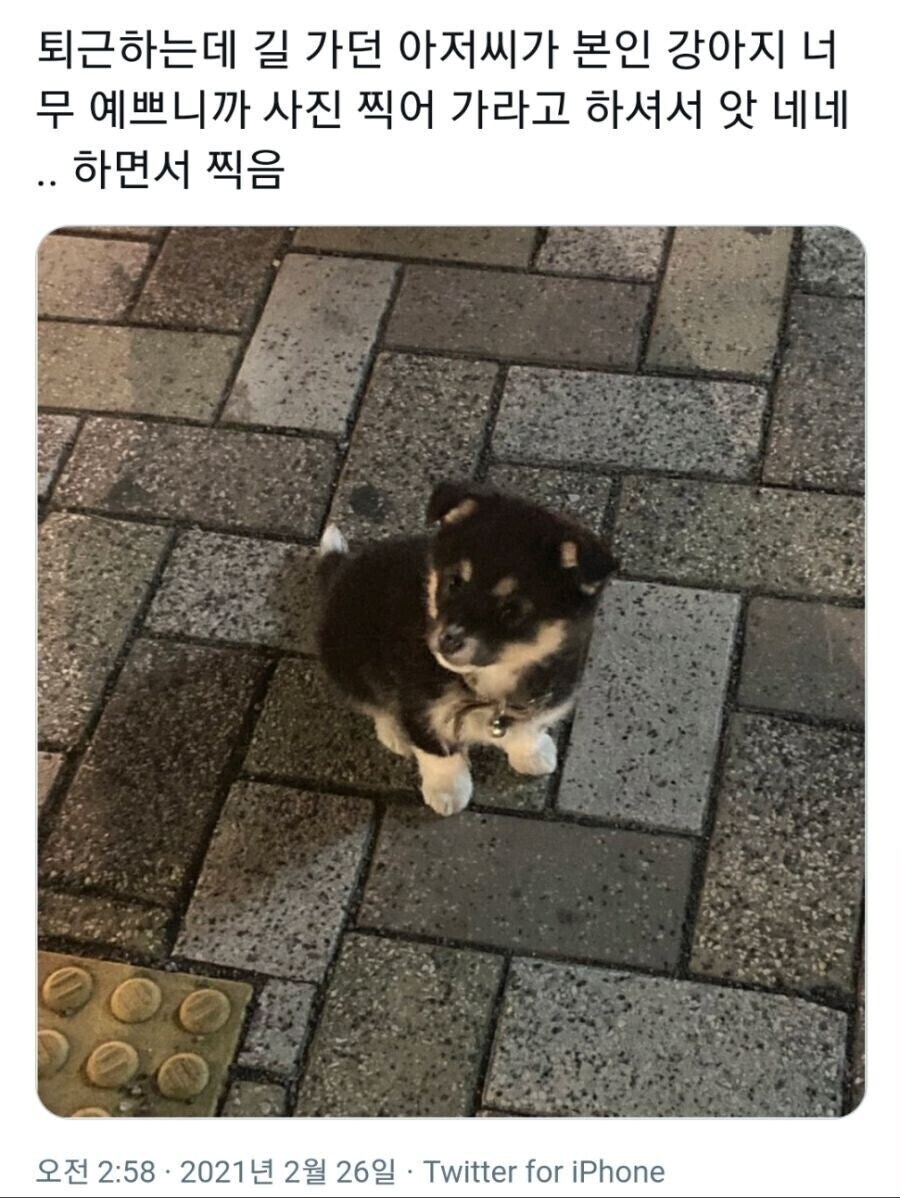 아저씨 : 얘 찍어, 찍으라고_1.jpg