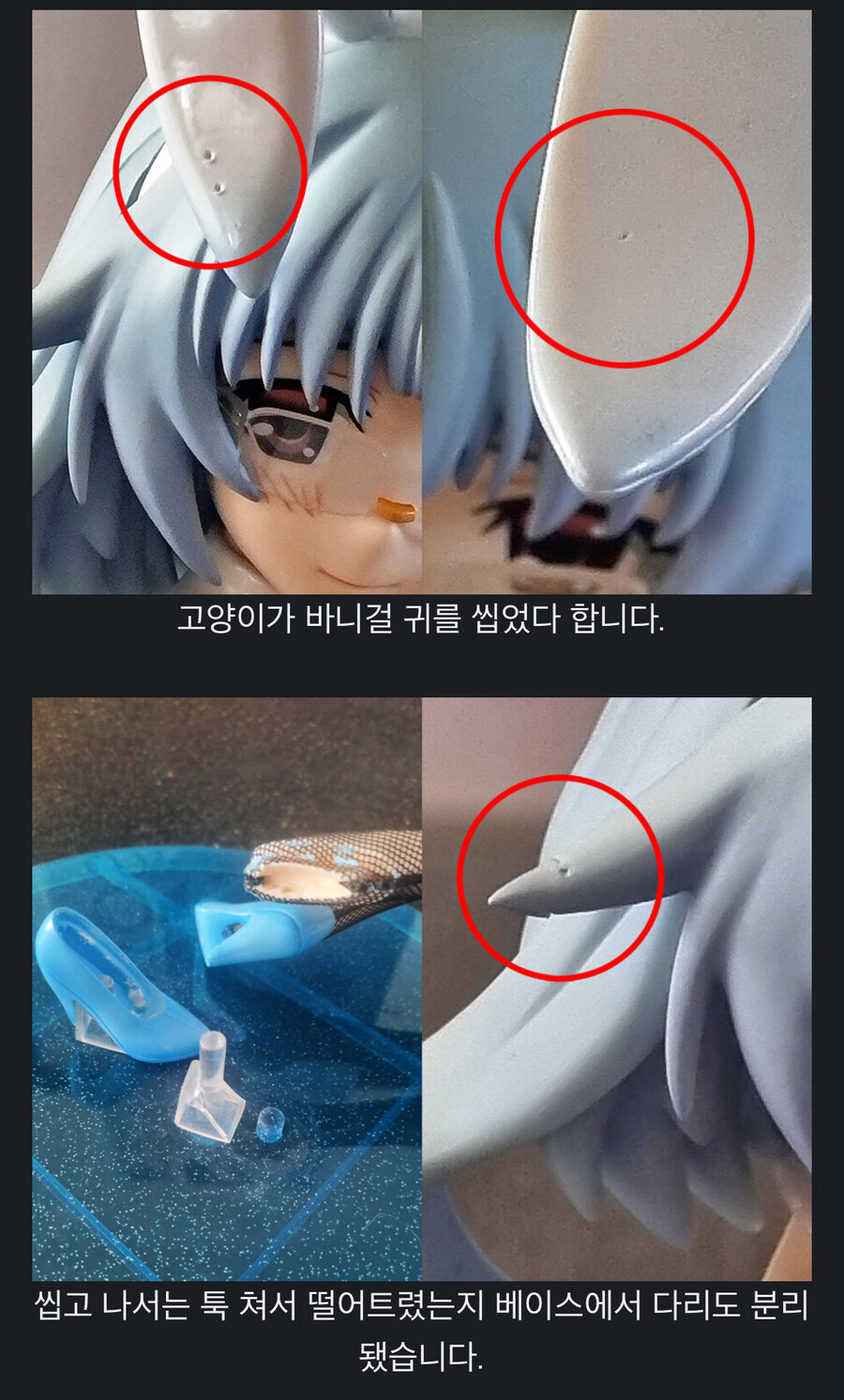 고양이가 해로운 동물인 이유.jpg_1.jpg