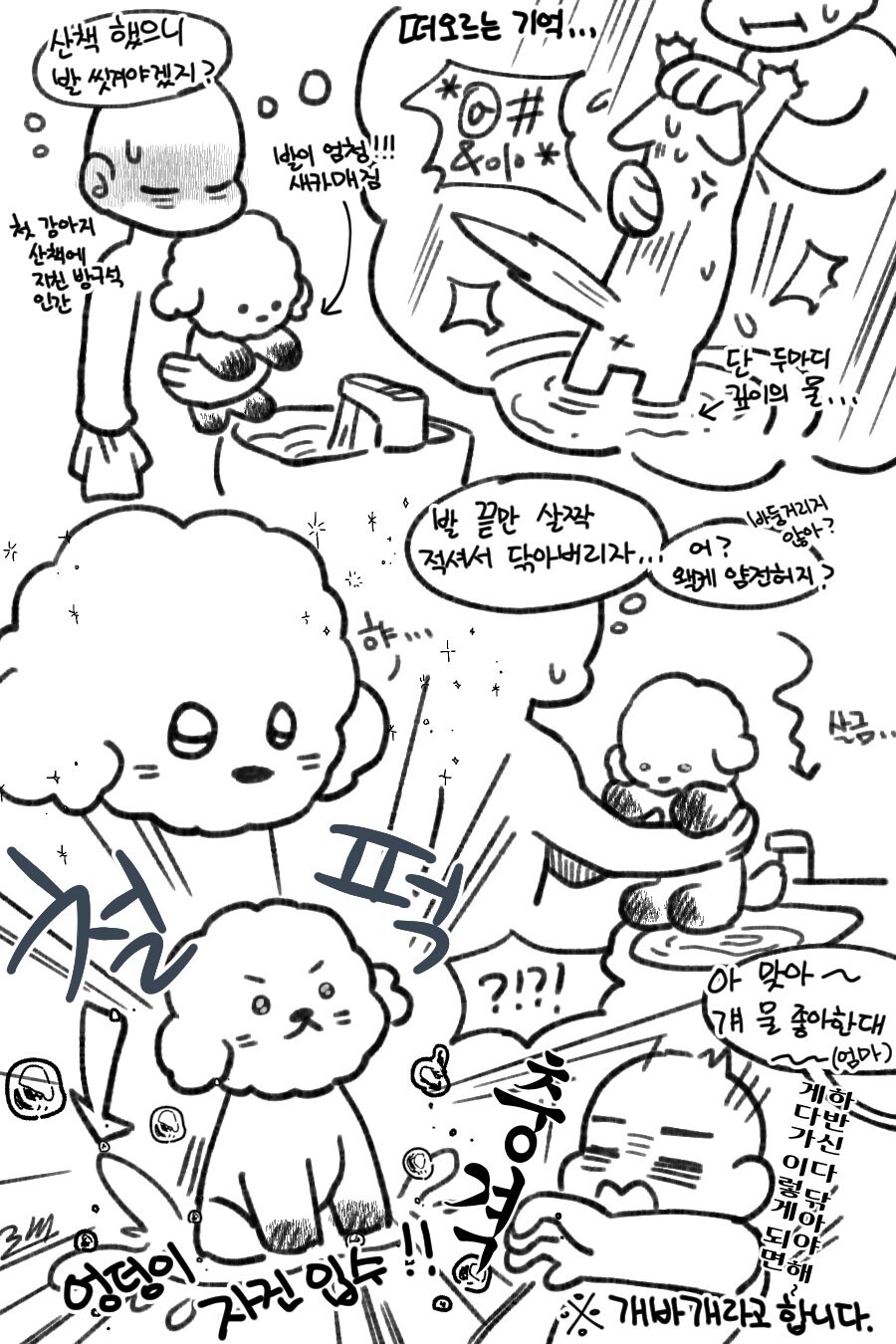 고양이 집사의 강아지 체험 경험담_2.jpg