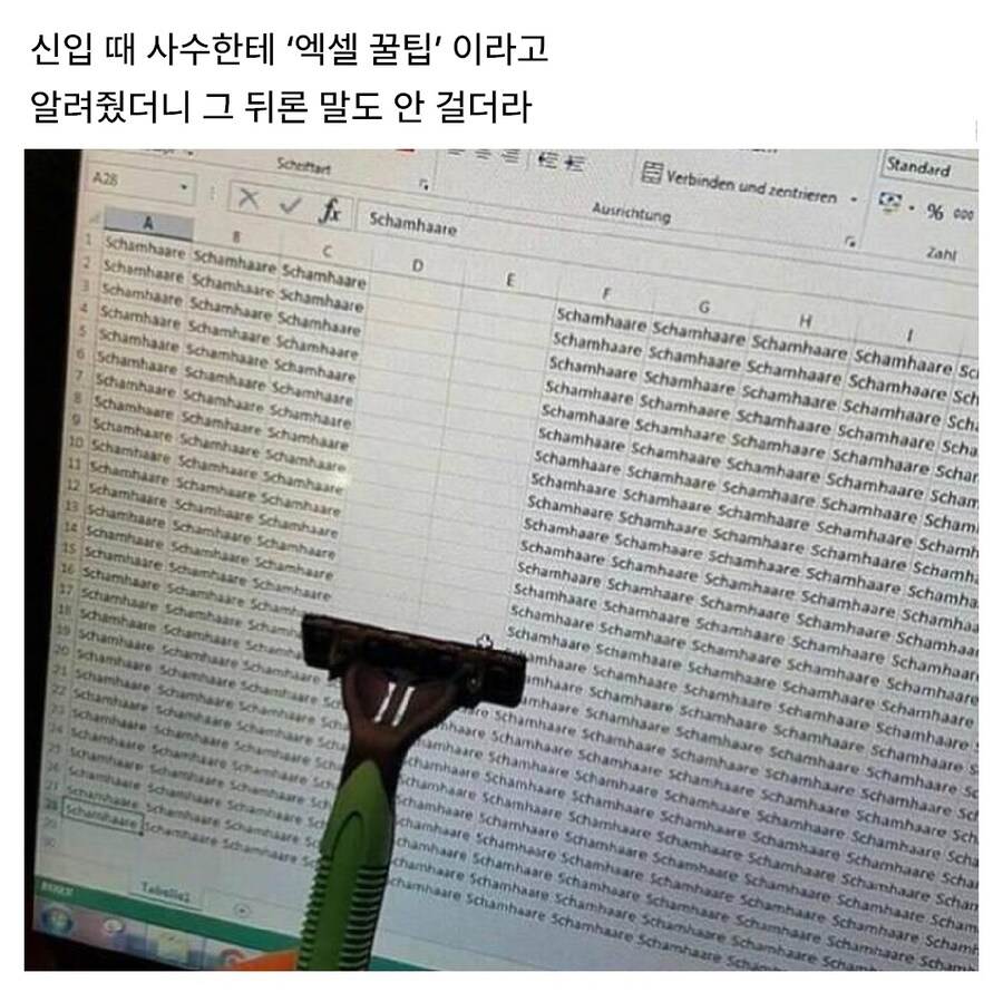 사수한테 꿀팁 알려줫다가 망한사람_1.png