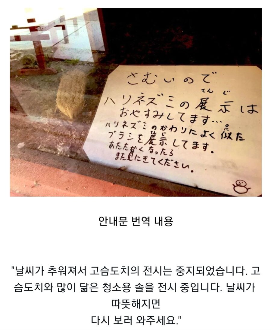 고슴도치는 어디에 있지?.jpg_1.jpg