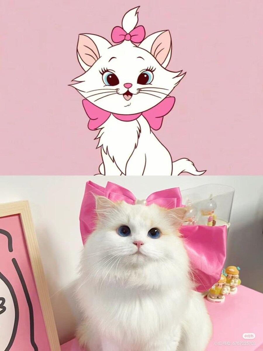 완벽한 코스프레.jpg_1.jpg