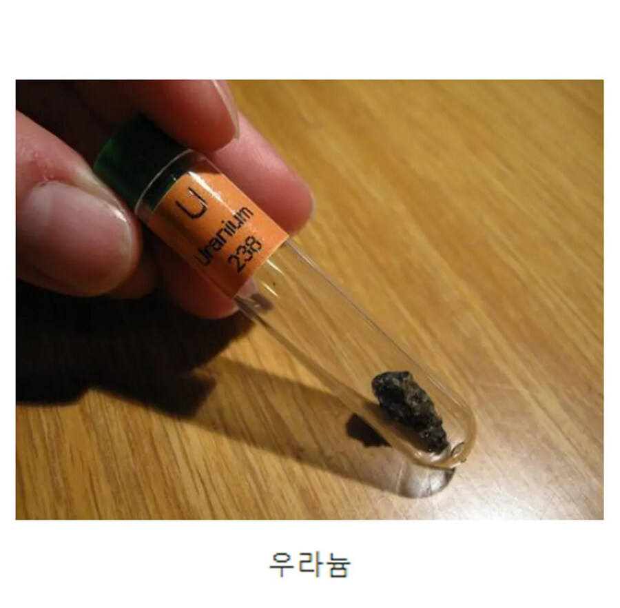 의외로 토마토랑 같이먹으멷 독 되는것_2.jpg