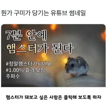 안누르기 힘든 유튜브 썸네일_1.webp