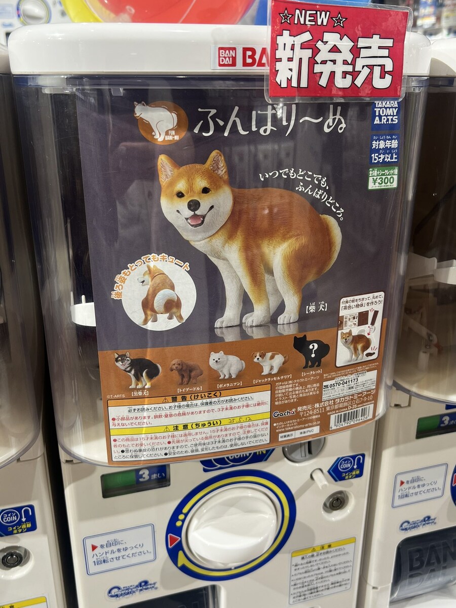 개 똥누는 자세 피규어_1.jpg