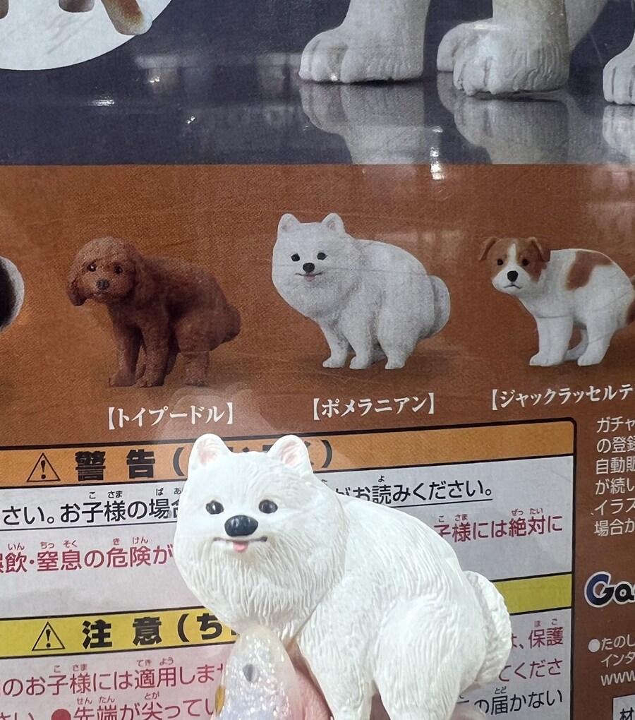 개 똥누는 자세 피규어_2.jpg
