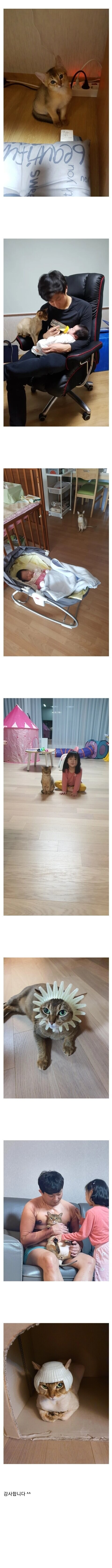 아빠와 딸, 고양이 4년간 변화.jpg_1.jpg