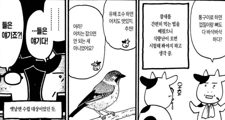 강연금 작가가